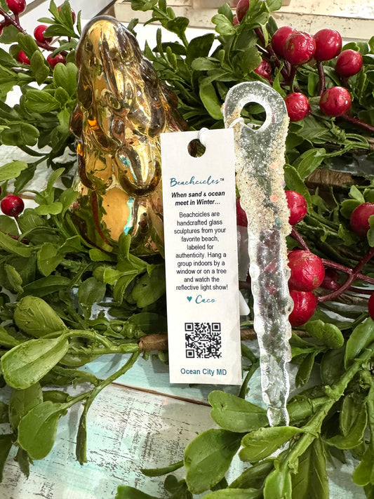 Ocean City Beachcicle