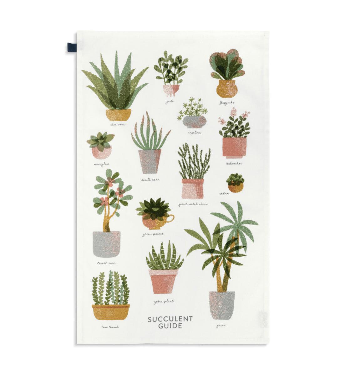 Succulent Guide Towel & Plant Stake Set