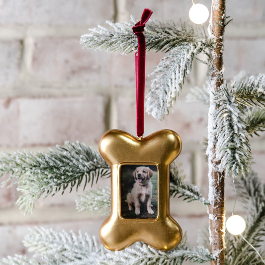 GOLD DOG BONE FRAME ORNAMENT