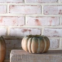 6.1" W. Fall Ombre Cement Pumpkins