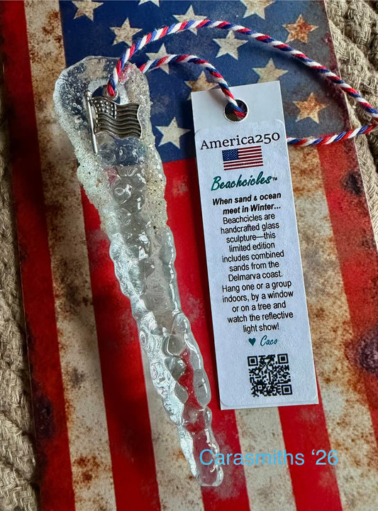 America250 Commemorative Beachcicle | Limited Edition 🇺🇸