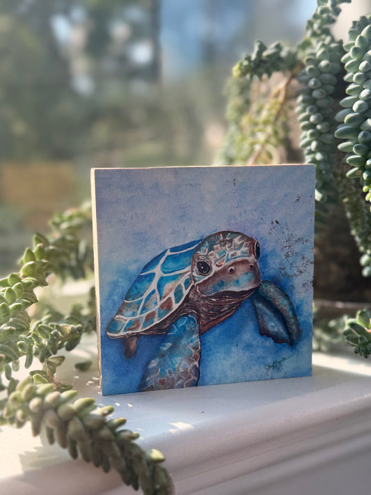Baby Turtle 4x4 Wood Block