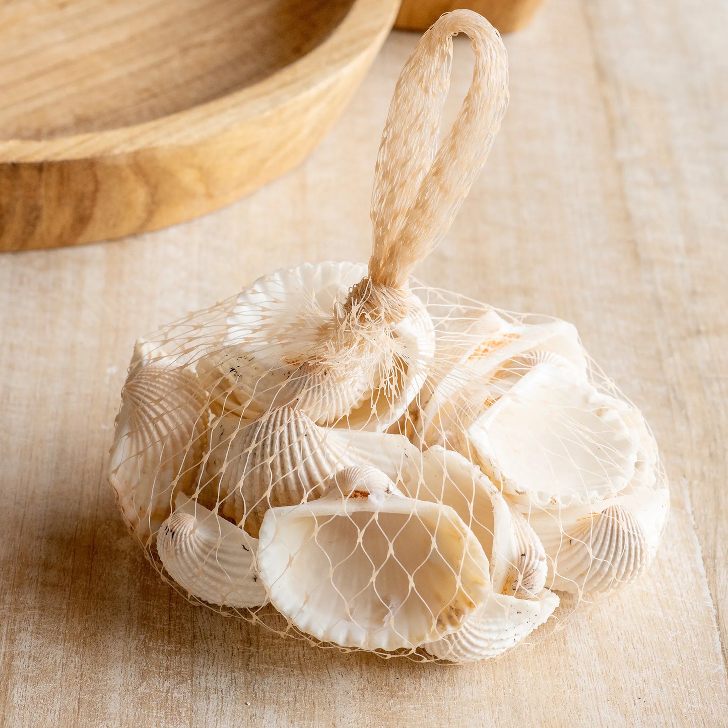 Clam Style Sea Shells in Bag