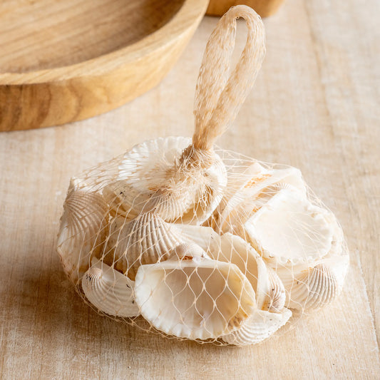Clam Style Sea Shells in Bag