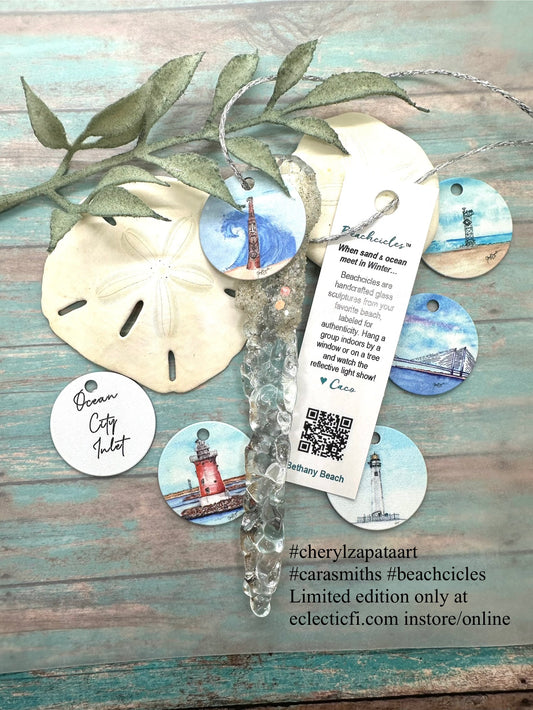 Limited Edition Beachcicle Collaboration