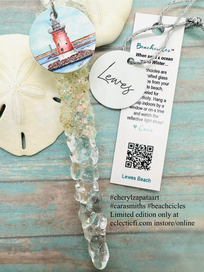 Limited Edition Beachcicle Collaboration