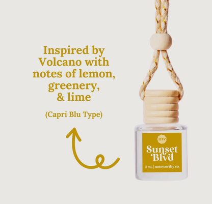 Car Diffusers Everyday Scents