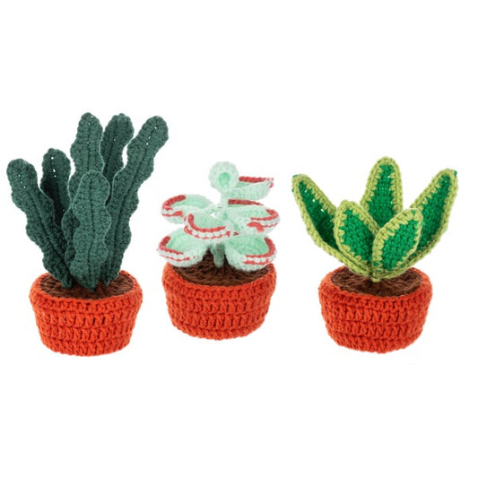 Crochet Succulent Plant Figurines