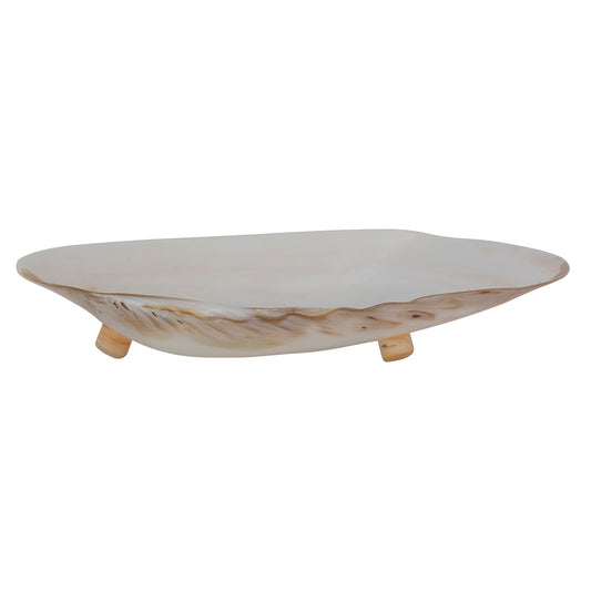 9"L x 1-1/4"W Decorative Natural Shell Footed Dish (Each One Will Vary)