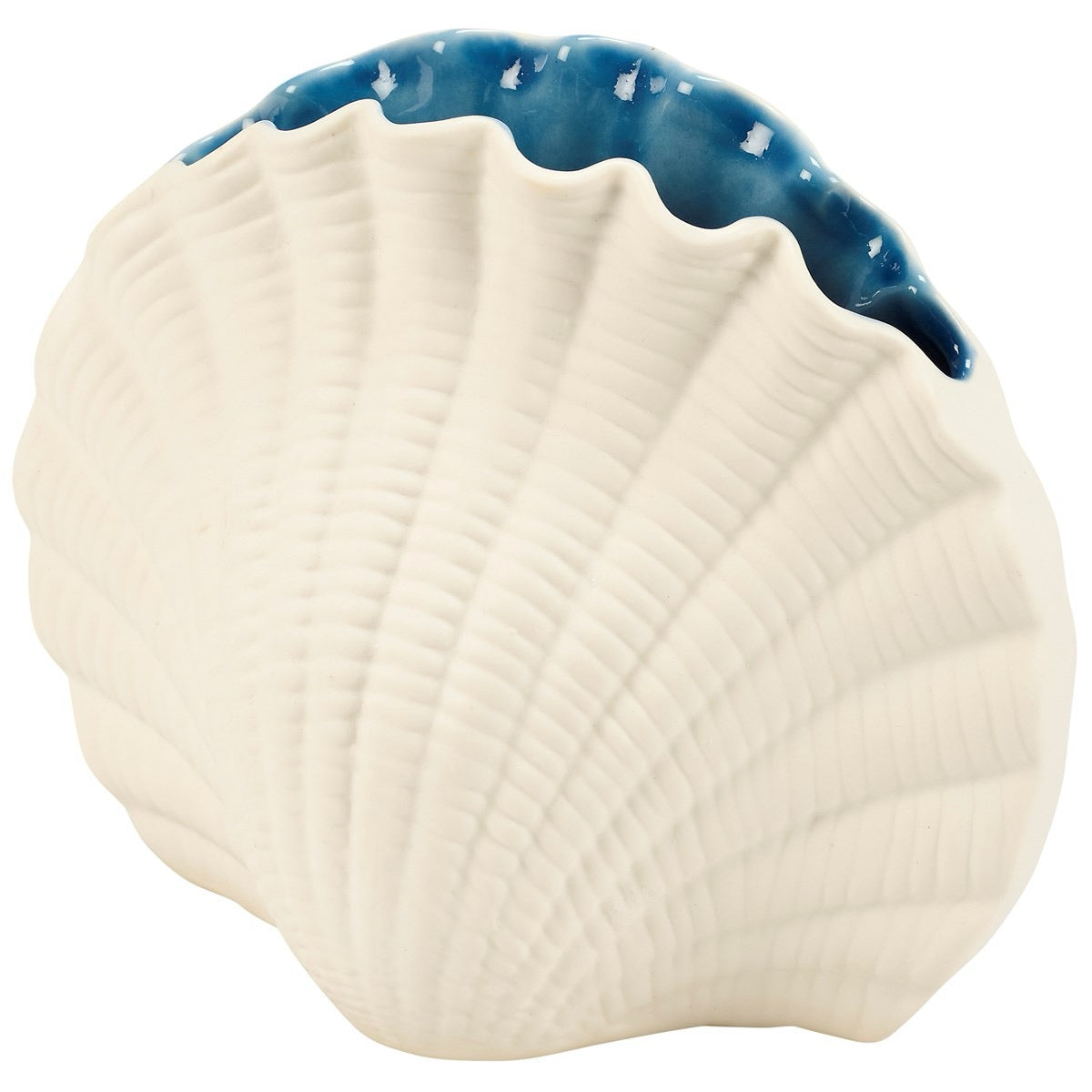 Seashell Vase