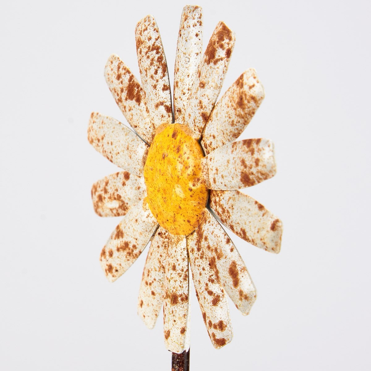 Daisy Garden Pick