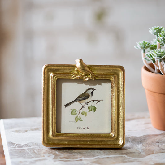 3" x 3" Square Photo Frame w/Bird