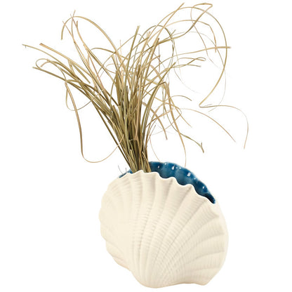 Seashell Vase