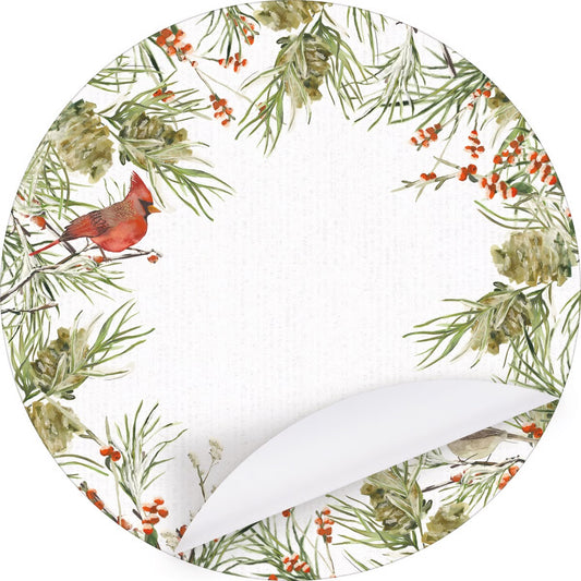 Winter Birds Placemat