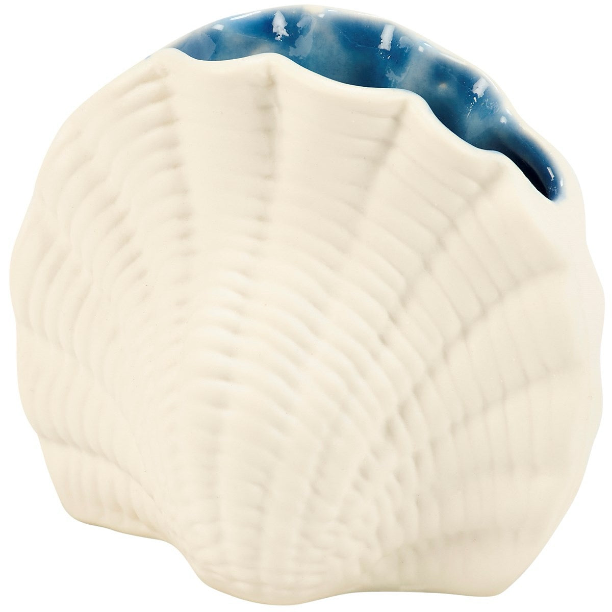 Seashell Vase