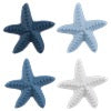 Starfish Knob