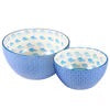 Blue Fish Bowls