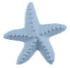 Starfish Knob
