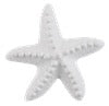 Starfish Knob