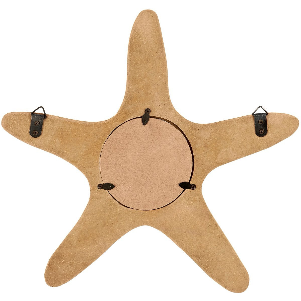 Starfish Wall Frame