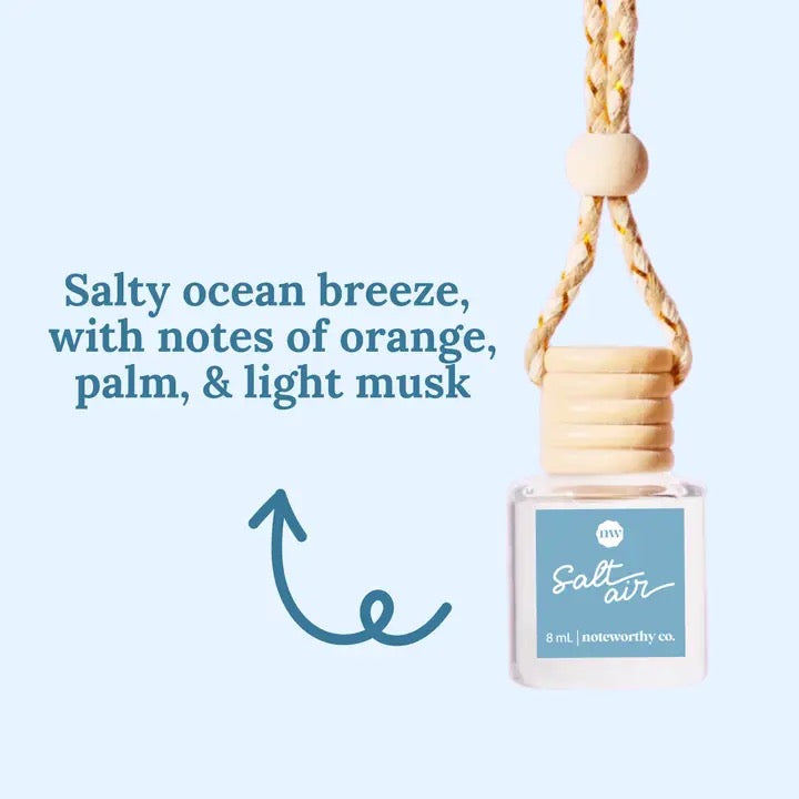 Car Diffusers Everyday Scents