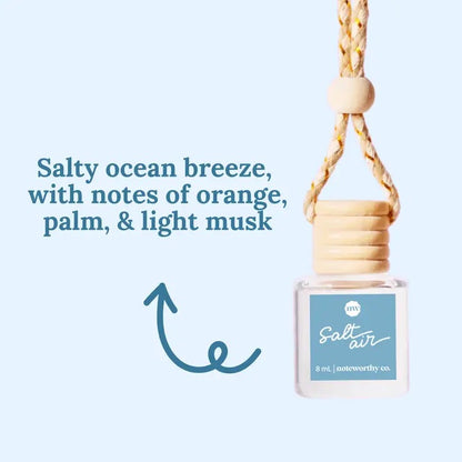 Car Diffusers Everyday Scents