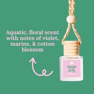 Car Diffusers Everyday Scents