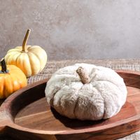 6"D Tan Faux Fur Pumpkin