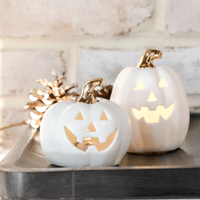 2 Asst. LED Mini Jack-O-Lanterns