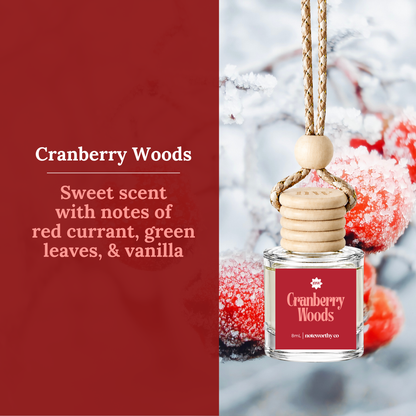 Car Diffusers | Holiday & Winter Scents (NEW 2026)