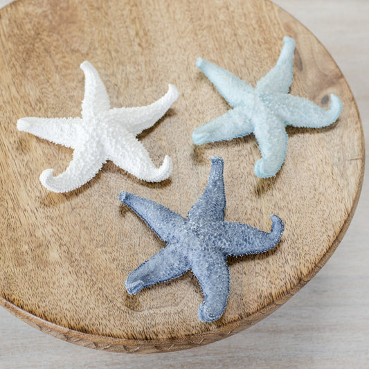 3.5" Curled Starfish