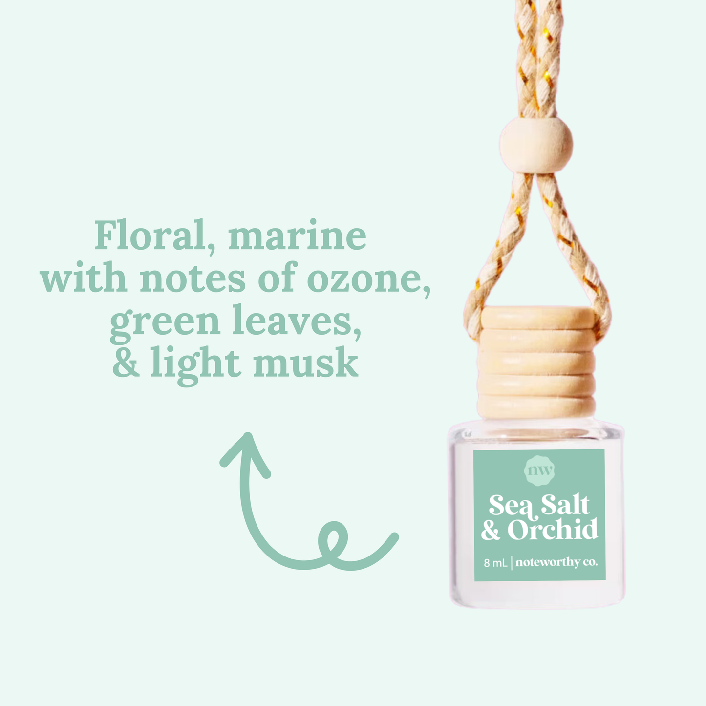 Car Diffusers Everyday Scents
