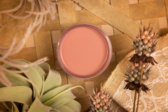 Desert Rose Silk All-In-One Mineral Paint by Dixie Belle