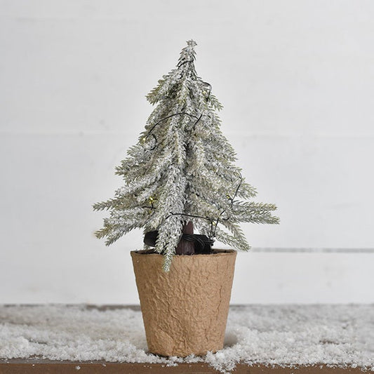 Droopy Tree With Snow & Lights