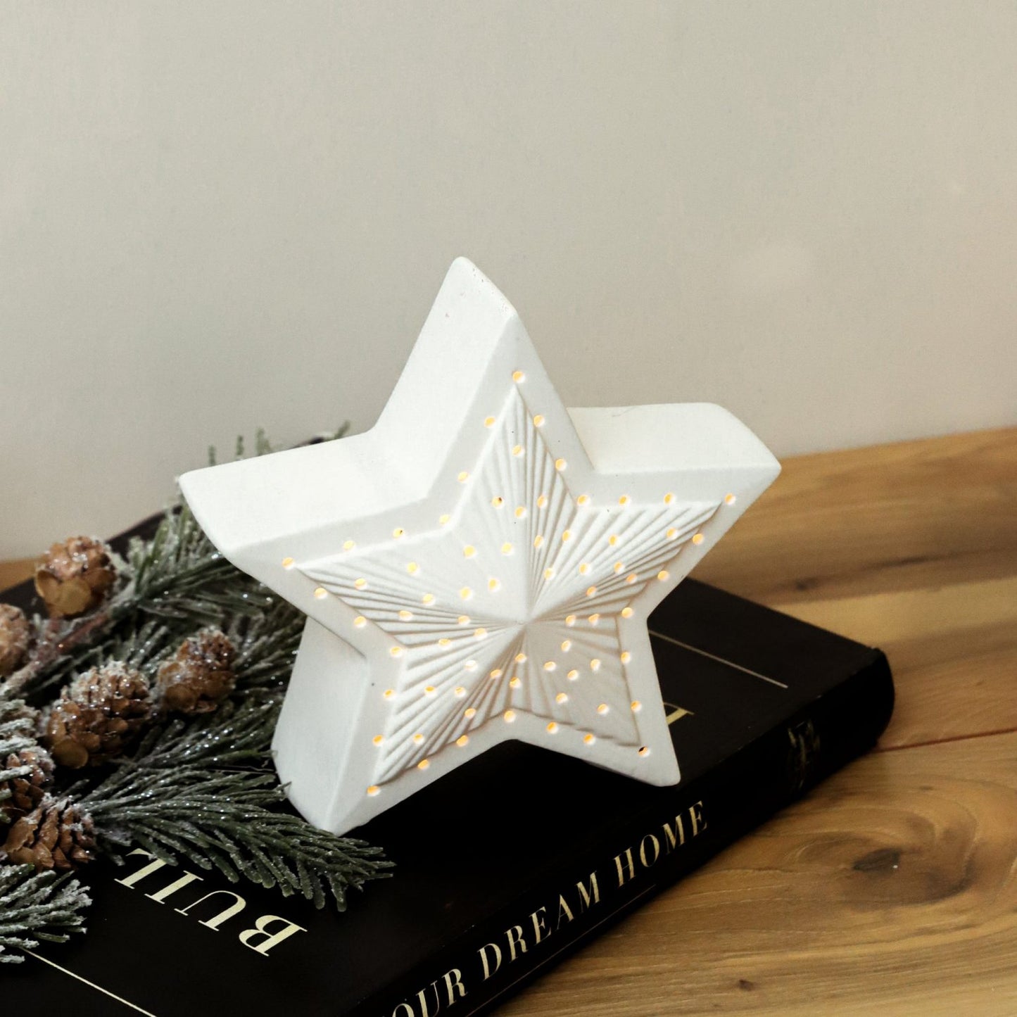 Medium LED Ceramic Star