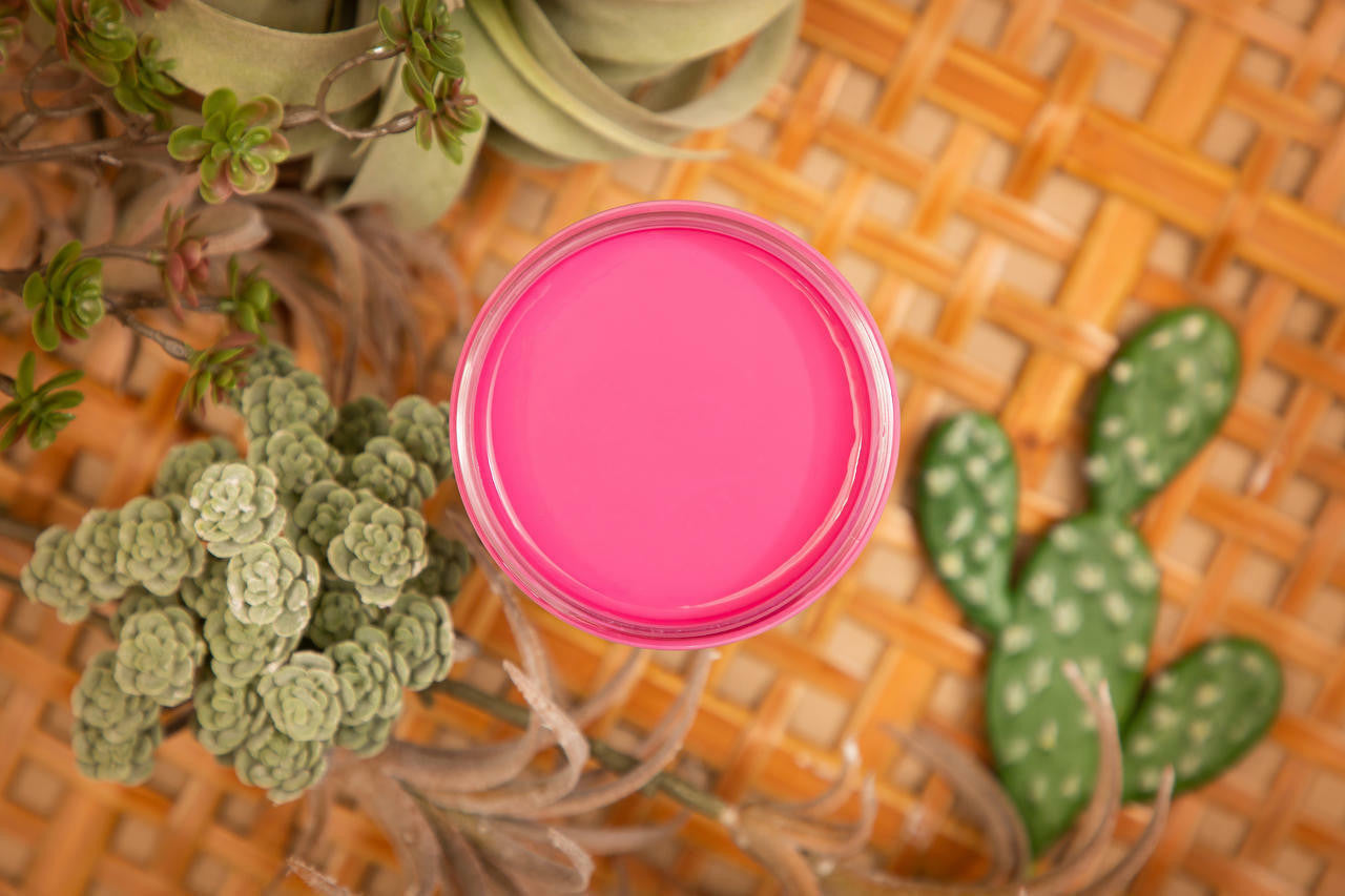 Prickly Pear Silk All-In-One Mineral Paint by Dixie Belle