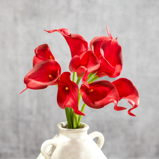 Red Calla Lily Stem