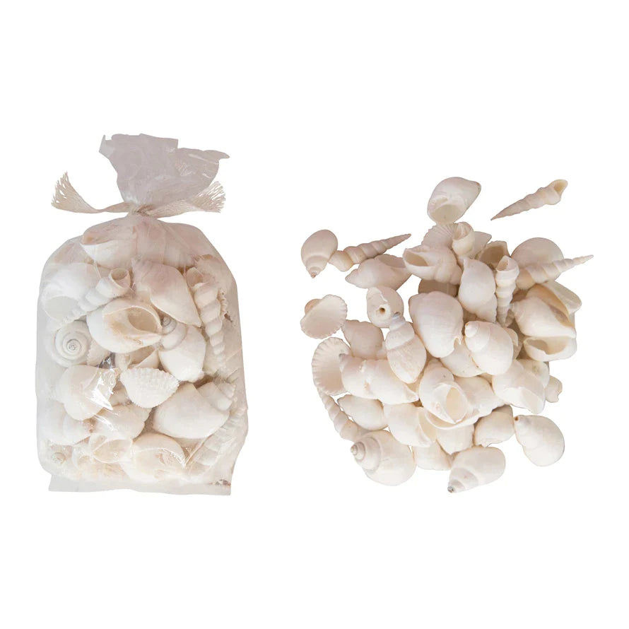 Bag Mixed Sea Shells